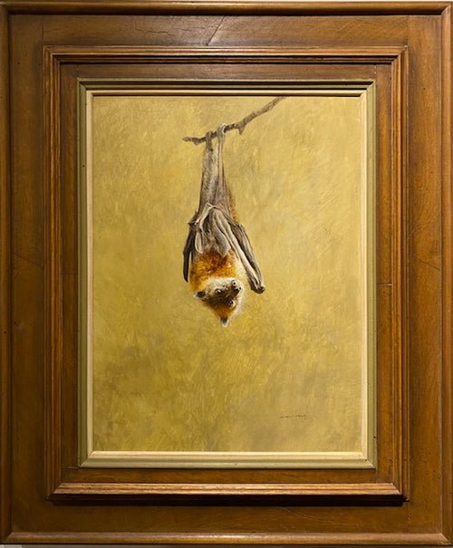 Raymond Ching Flying Fox (Fruit Bat) - aptiques by Authentic PreOwned