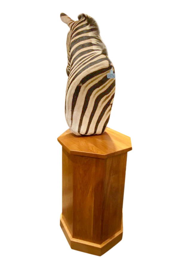 Zebra Taxidermy - aptiques by Authentic PreOwned